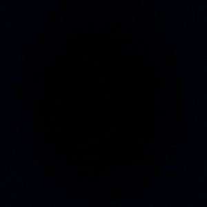 Meet your Posher, Evelin